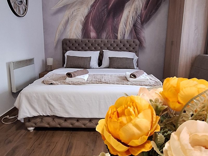 Izdajem apartman u strogom centru Sokobanje – April 20€/noć, popusti za više noćenja