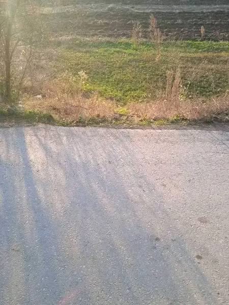 Prodaja njiva – Okolina Niša, 12 ari u Doljevcu
