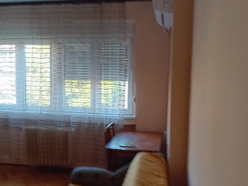 izdavanje jednosobnog stana