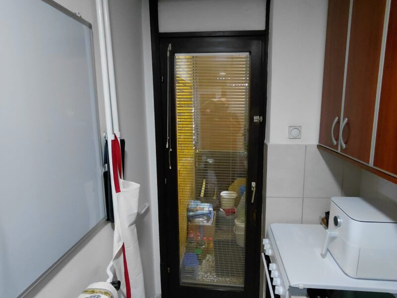 Izuzetan dvosoban stan 6o kvadrata ,ZONA 2 ŽFC