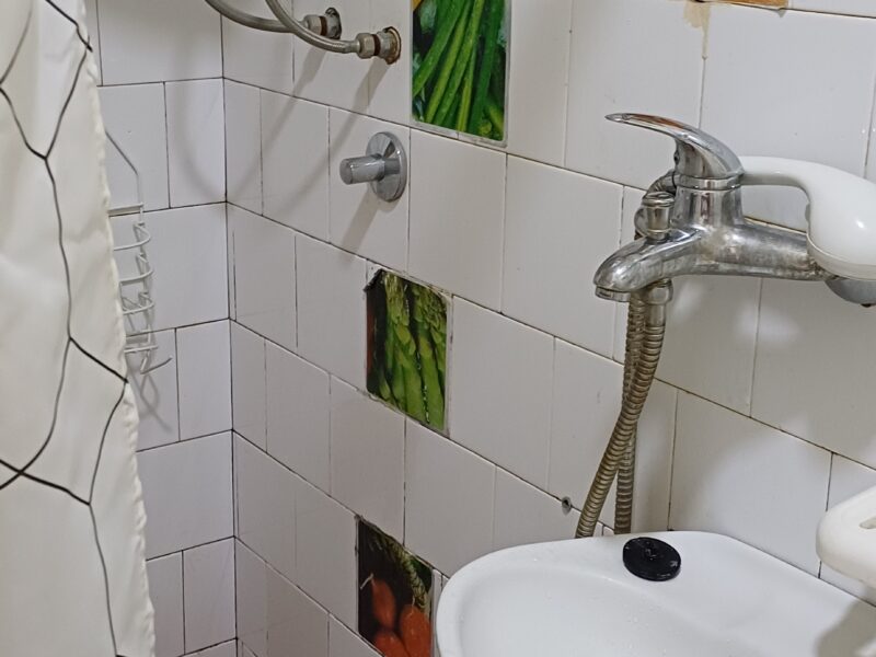 Garsonjera do medicinskog fakulteta za studente. Sremska 5.