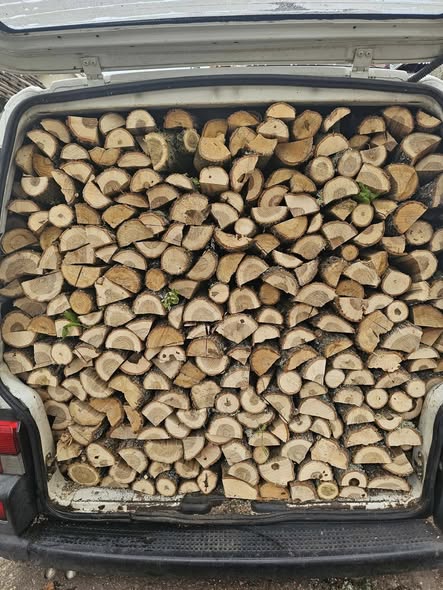 Prodaja ogrevnog drveta hrast i cer