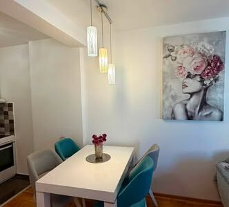 Izdaje se jednoiposoban stan – 41 m²