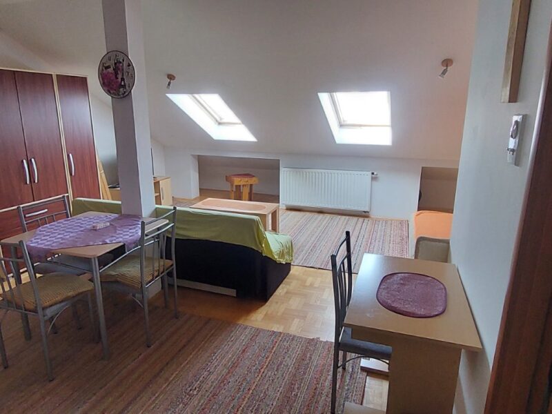 Prodajem odmah useljiv stan 38m2, salonskog tipa, Centar-kej